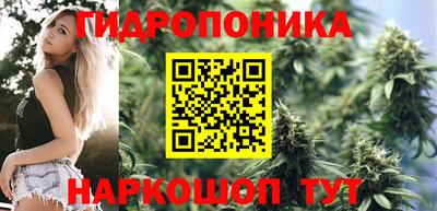 мдпв Пенза