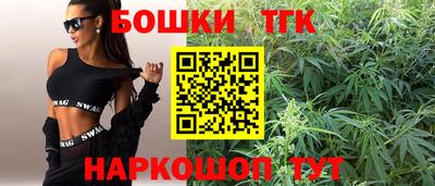 мдпв Пенза