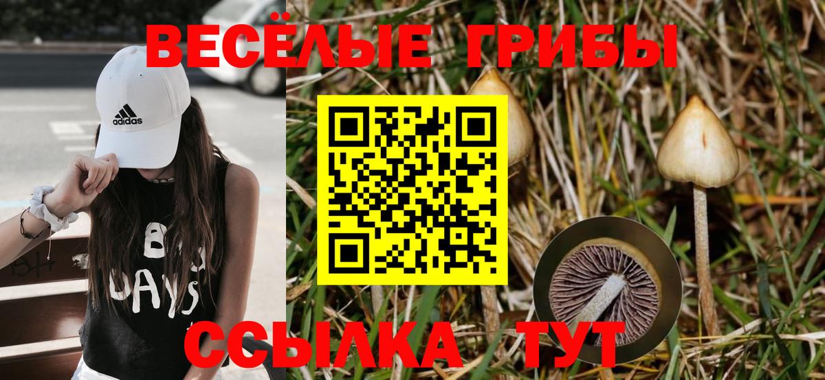 Галлюциногенные грибы MAGIC MUSHROOMS Аша